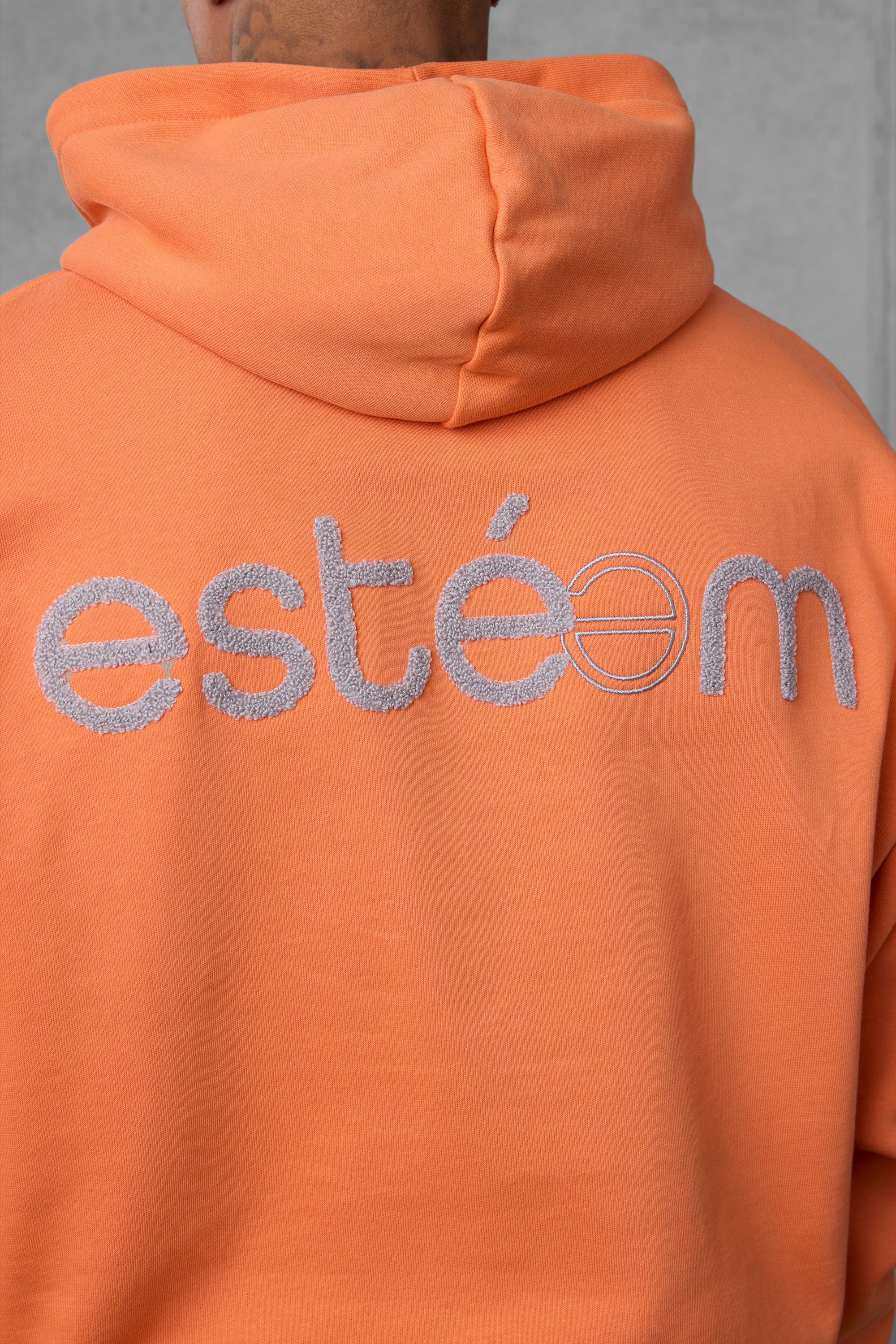 DUSTYORANGE SP APPLIQUÉ OVERSIZED HOODIE - Image 6